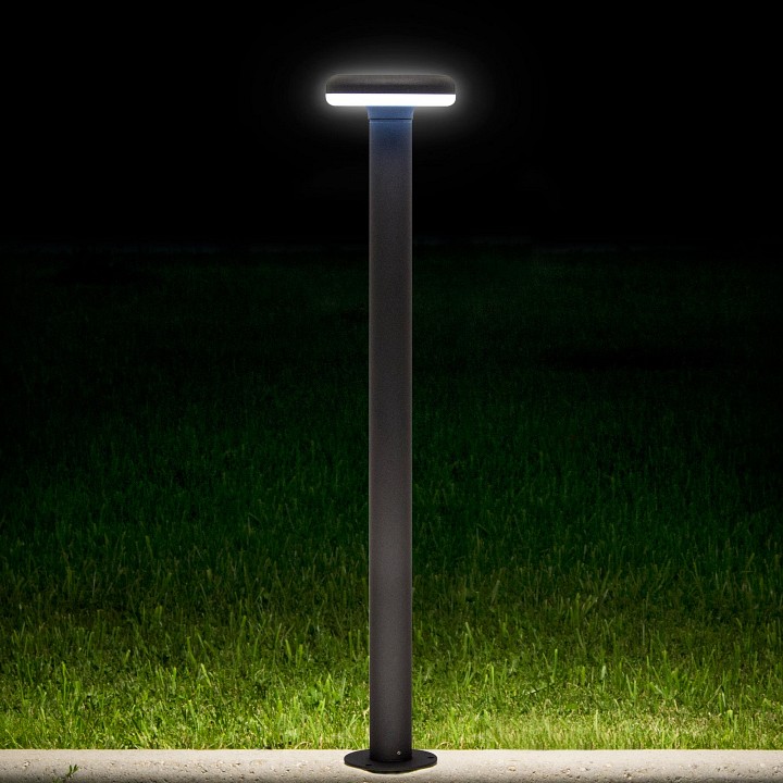 Уличный светодиодный светильник Citilux CLU01B - 1